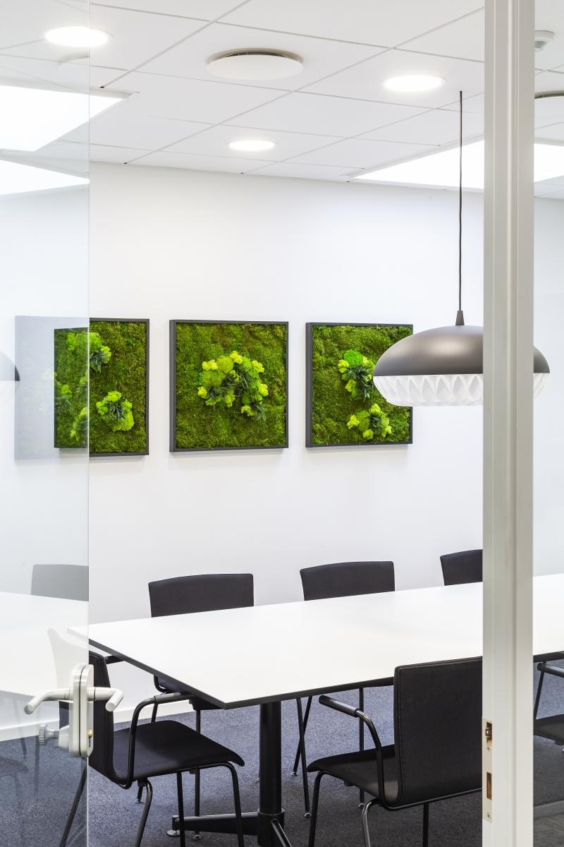 Kontorlokale, hvide vægge i konferencerummet og grønne elementer på væggen, billeder der imiterer planter/græs.