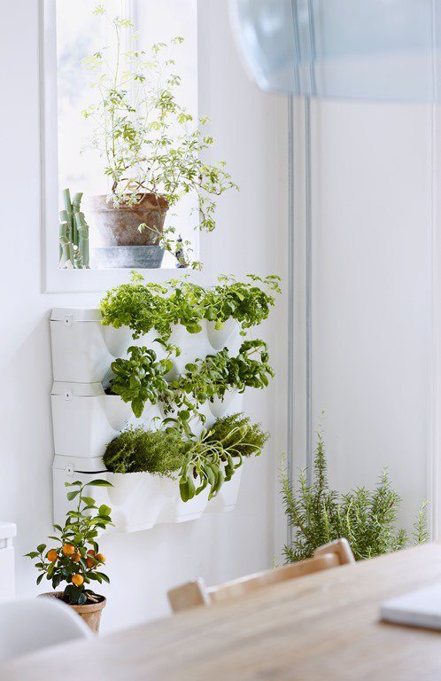 boligcious-home-decor-indretning-planter-potter-foto-martin-slyst-hejemme-hos-dorthe-kvist-meltdesignstudio
