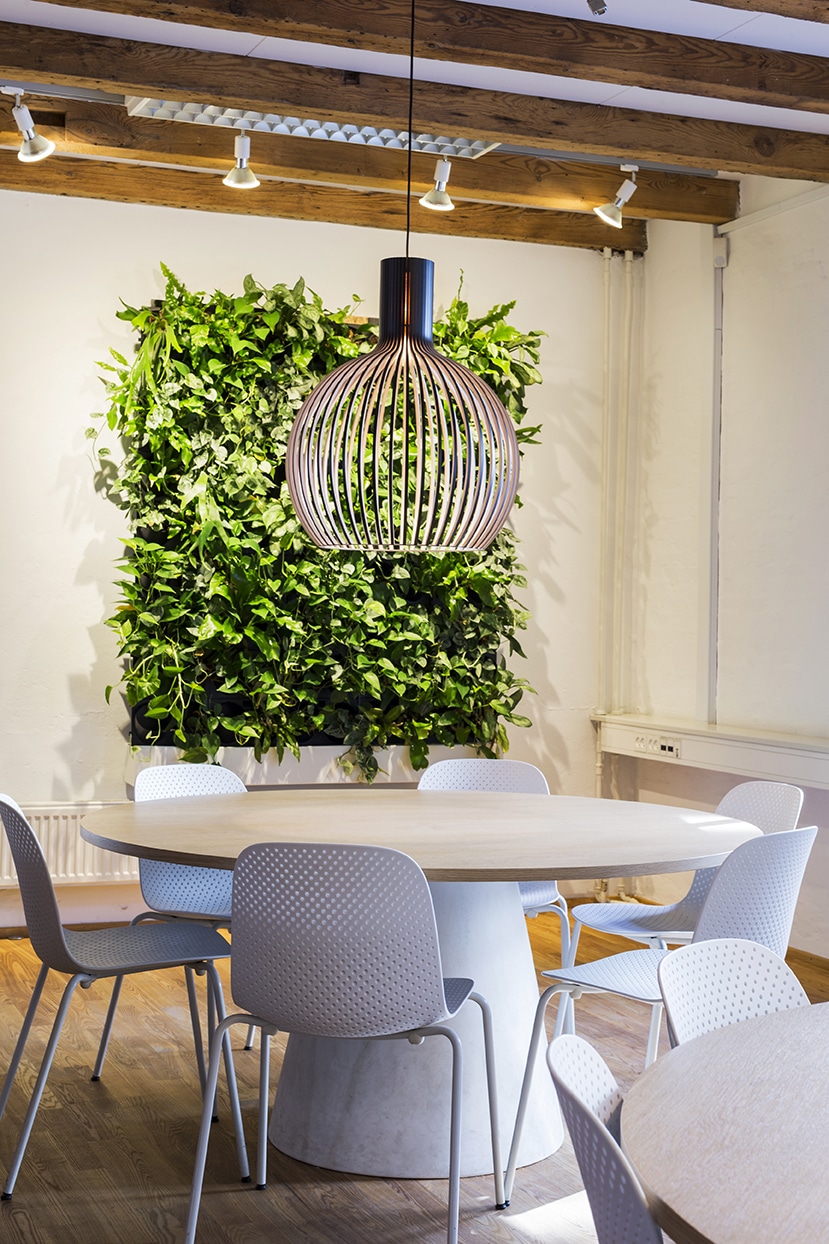 Bord med stole i en kantine, med planter på væggen