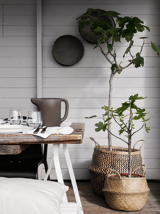 Terrasse med planter og havebord.